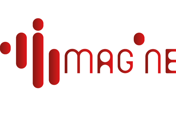Logo-imagine